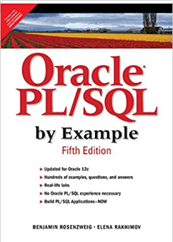 PL/SQL by Example
