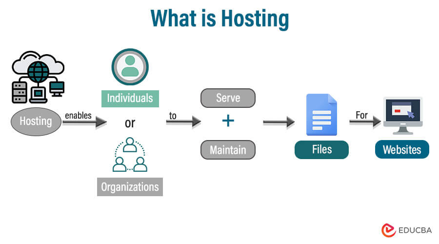 What is Hosting? | Brief, Features, and Web hosting Companies