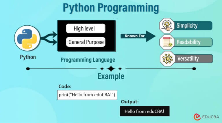 Python Programming 