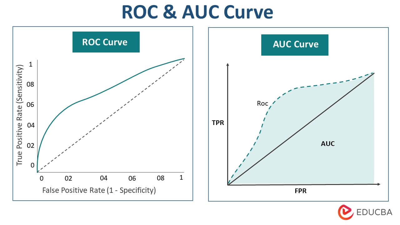 ROC & AUC Curve