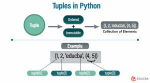 Tuples in Python | How to Create, Access, Slice and Modify