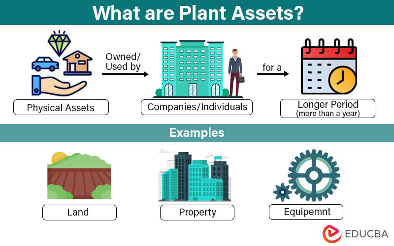 What-are-Plant-Assets