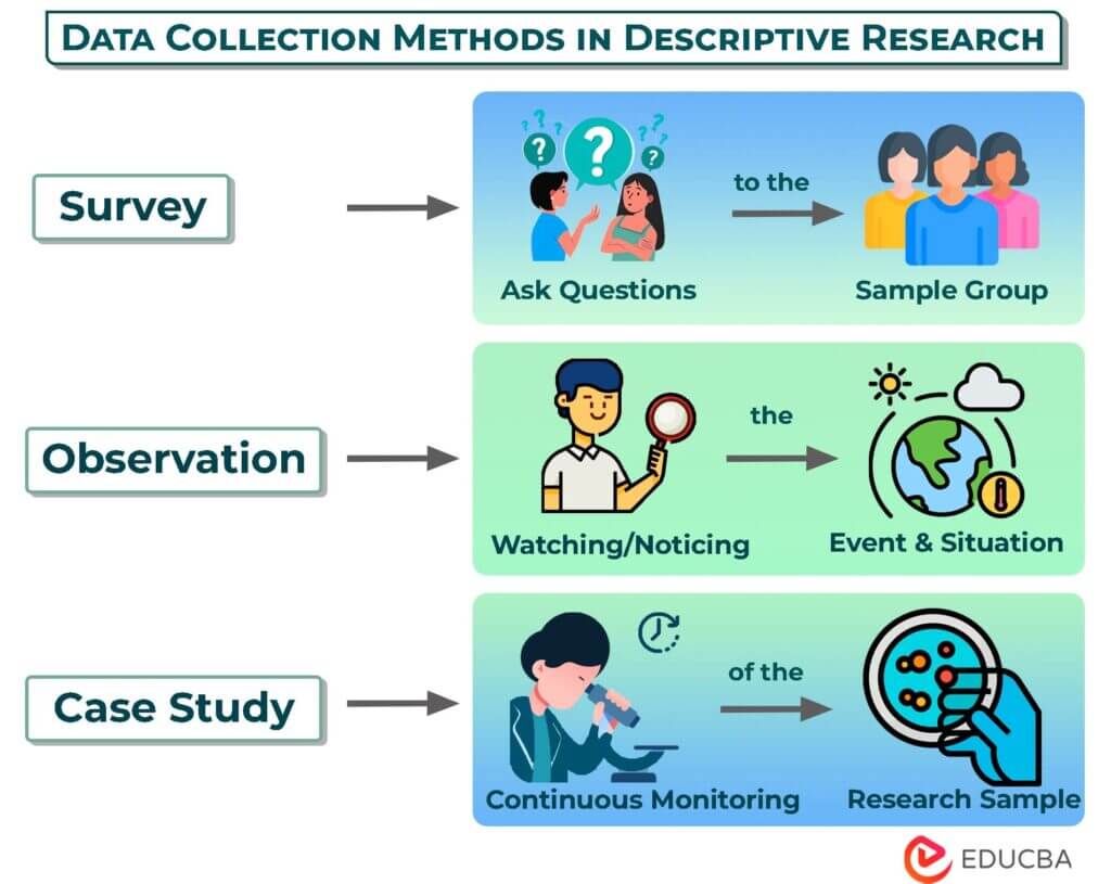 What is Descriptive Research? Examples & Detailed Case Study