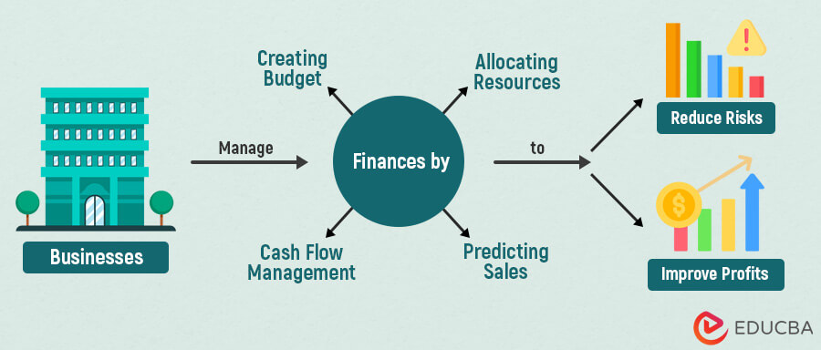Financial Management Definition Objectives Functions Jobs