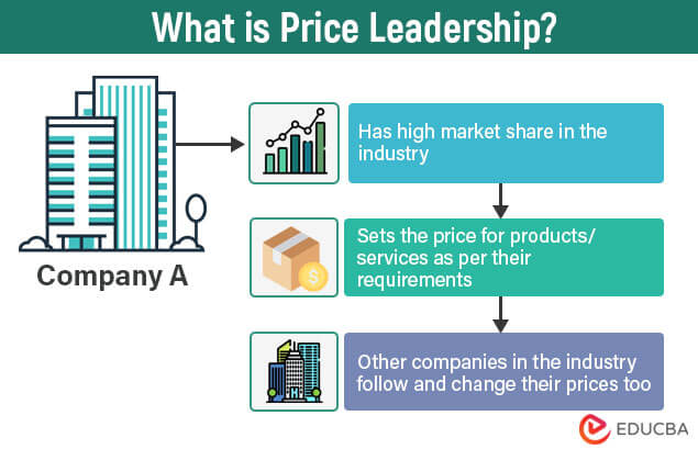 Summary of findings regarding regular price leadership.