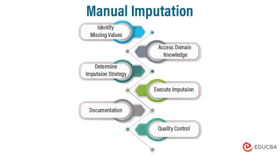 Manual Imputation