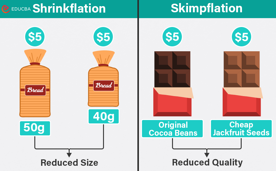 Shrinkflation Meaning & Real Examples | Skimpflation Vs. Shrinkflation