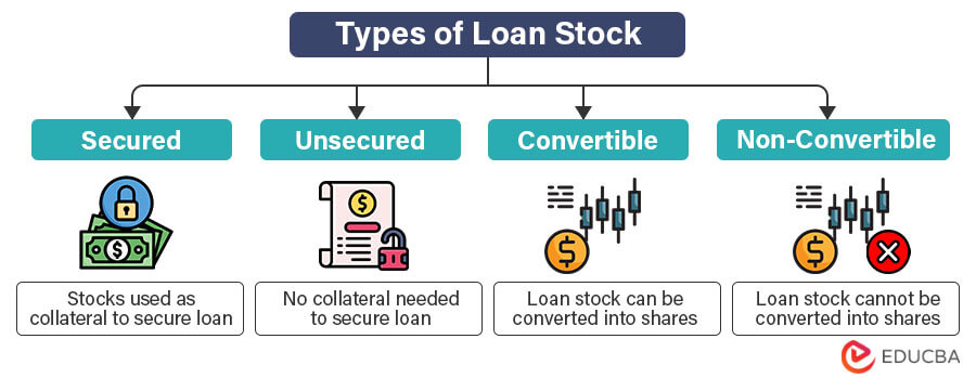 Types of Loan Stock