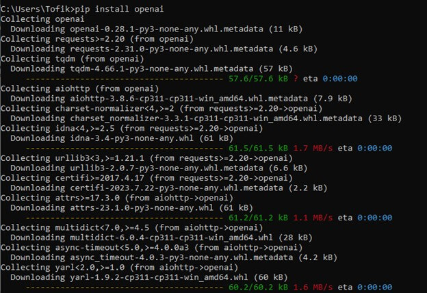 OpenAI and Gradio libraries