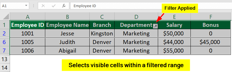 Go To Special-Visible Cells Only
