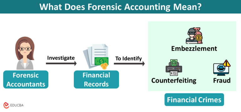 Forensic Accounting Meaning |Types & Examples | Vs. Auditing
