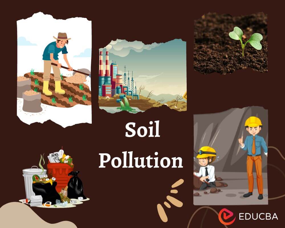 Soil Pollution Essay