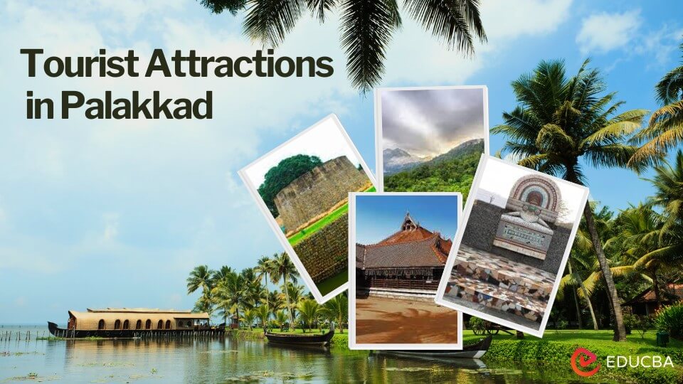 Top Tourist Attractions in Palakkad