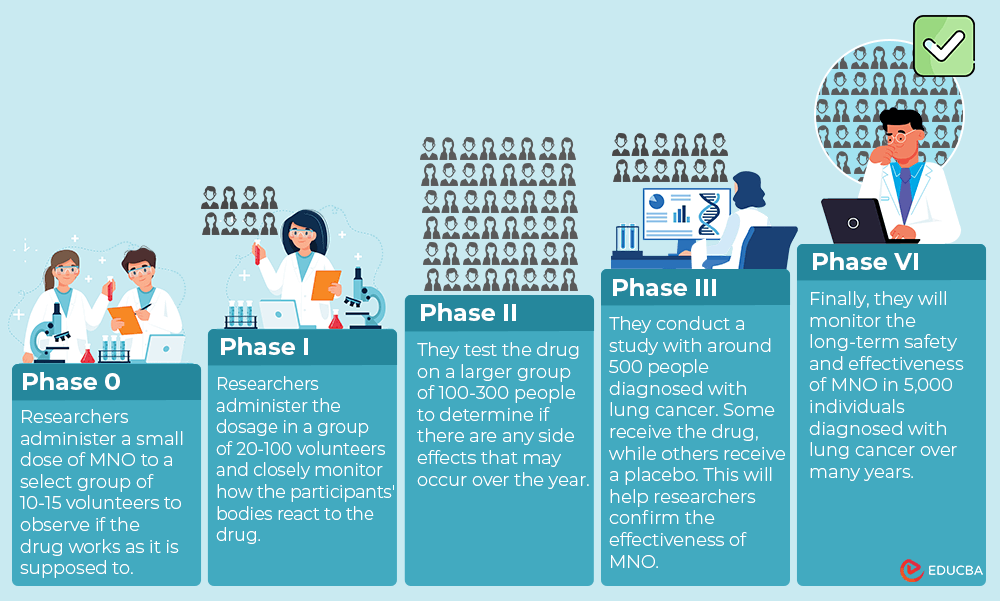 Phases 5 of Clinical Research