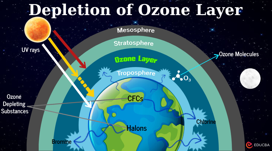 Essay on Depletion of Ozone Layer