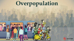 overpopulation photo essay