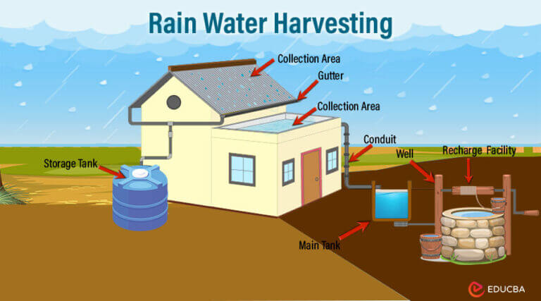essay on rainwater harvesting system