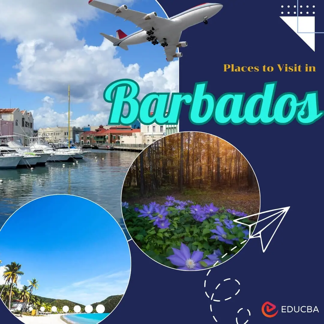 Places to Visit in Barbados