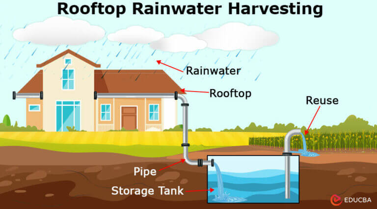 Essay on Rain Water Harvesting: Systems, solutions, and Implementation