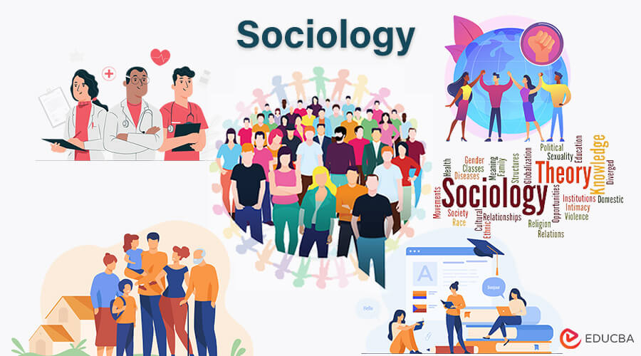Sociology Sociology