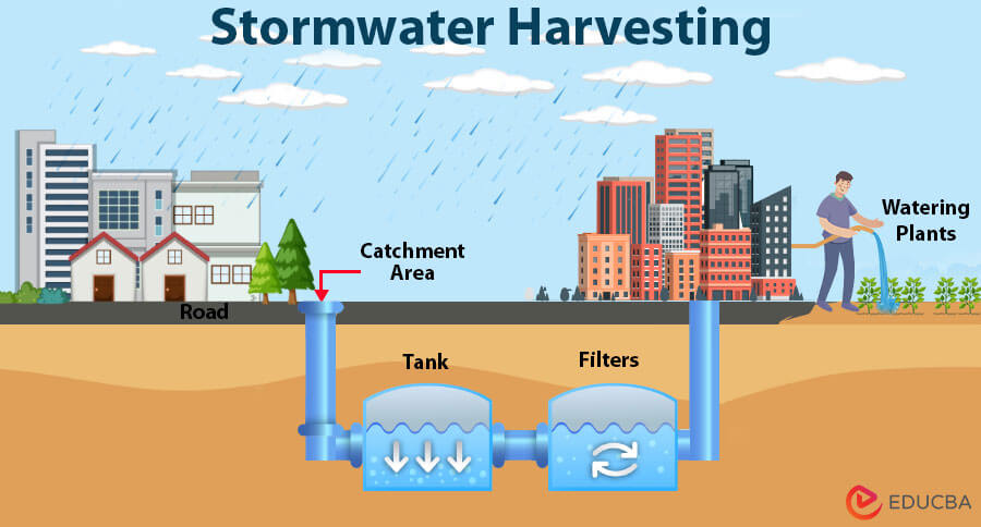 Stormwater-Harvesting