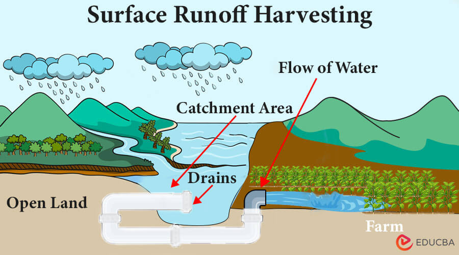 Surface-Runoff-Harvesting