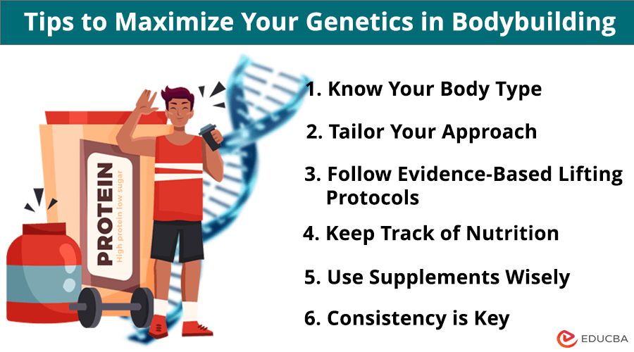 Genetics in Bodybuilding