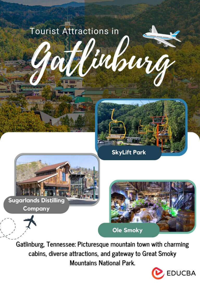 The 18 best attractions in Gatlinburg to visit in 2024