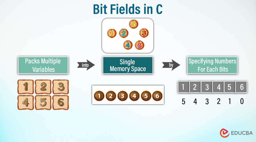 Bit fields in c