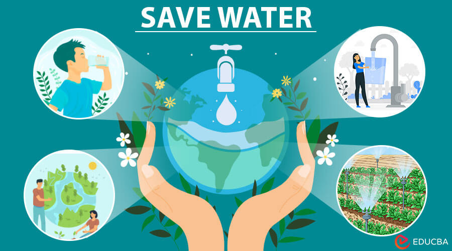 Essay On Save Water