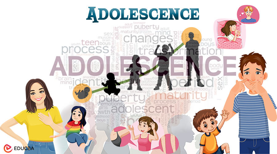 Essay on Adolescence
