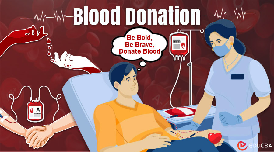 Essay on Blood Donation 