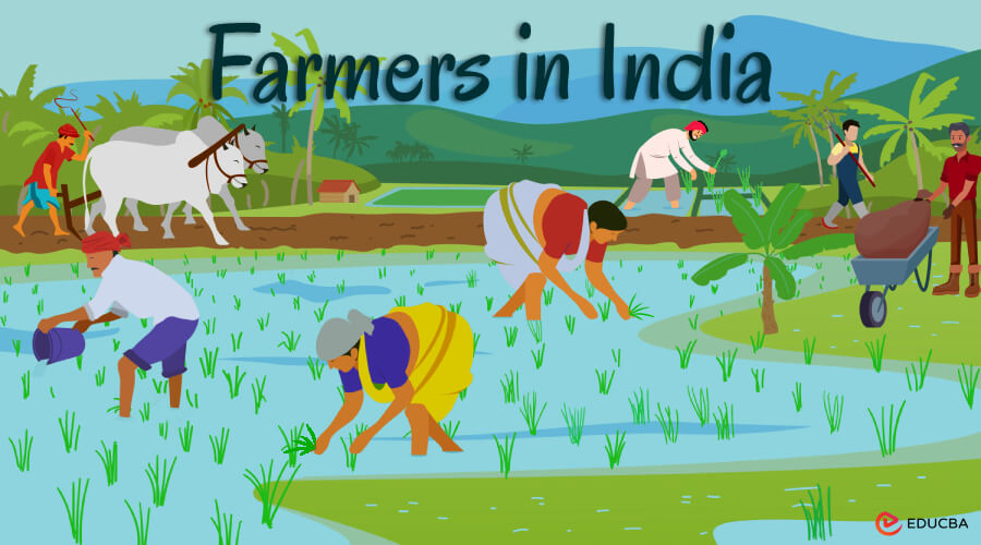 Essay on Farmers in India