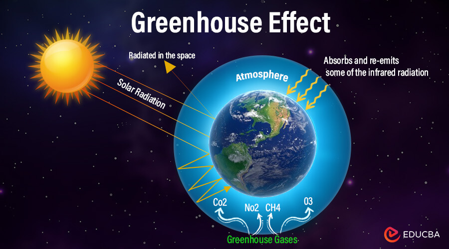 Essay on Greenhouse Effect