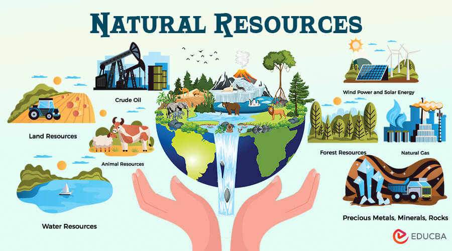 Essay on Natural Resources