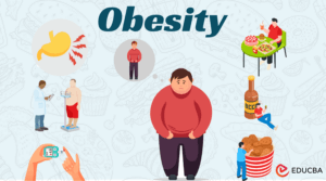 obesity is a lifestyle disease essay