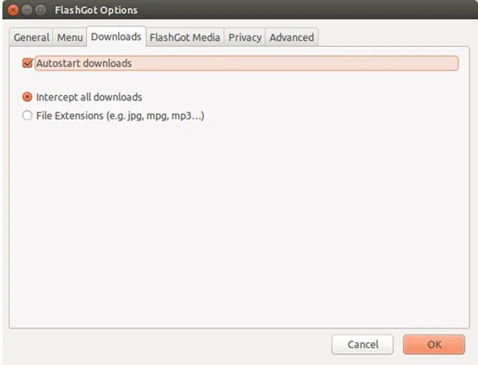 FlashGot options- autostart downloads Intercept