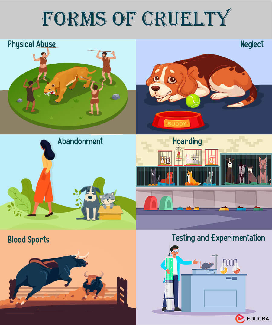 Animal Cruelty Bedeutung Cruelty To Animals IHZDI
