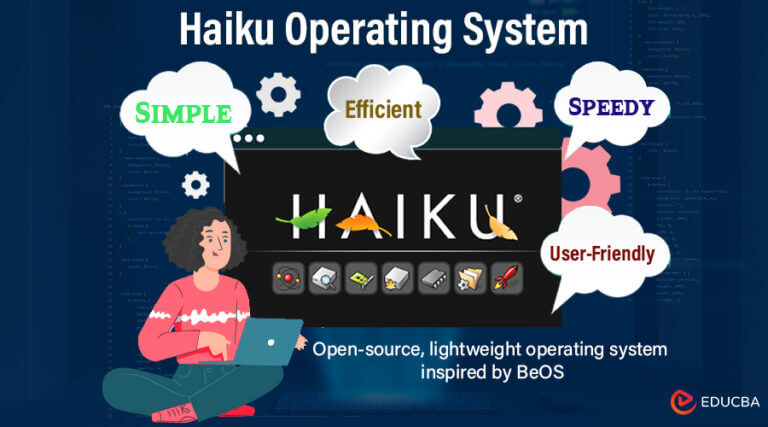 Haiku Operating System: The OpenBeOS with Installation