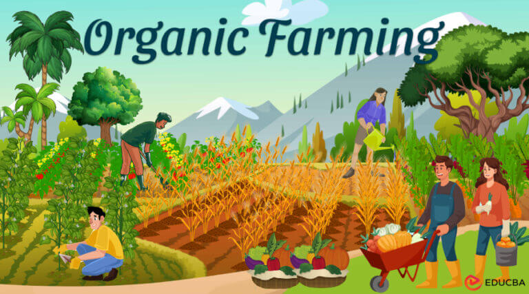 essay on organic farming