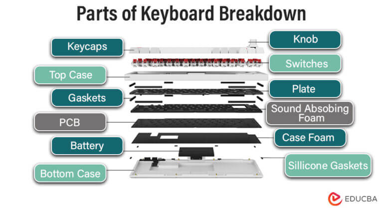 Keystroke: Meaning, Types, Anatomy & Shortcut Commands