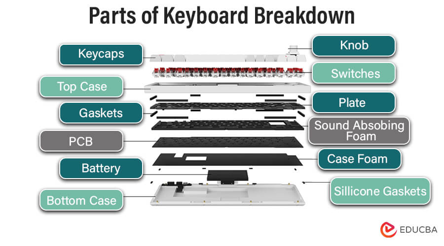 Parts of Keyboard Breakdown