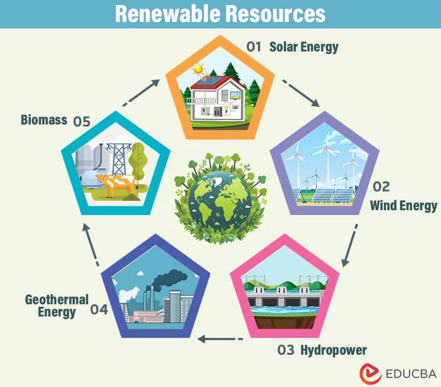 Renewable Resources