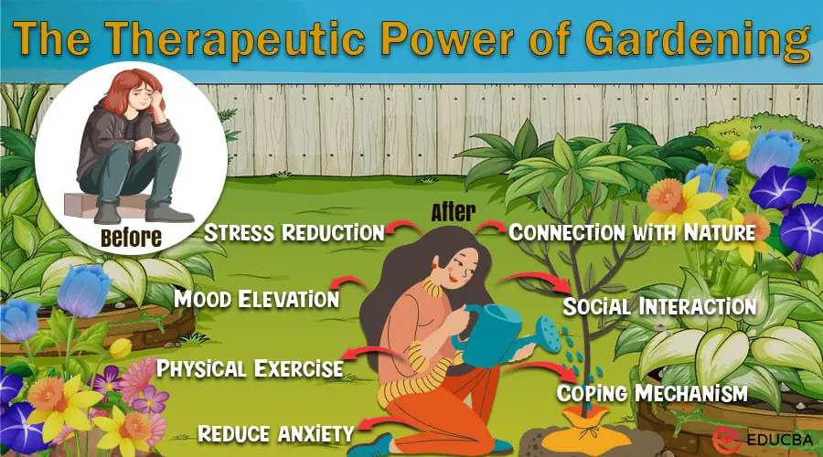 The Therapeutic Power of Gardening