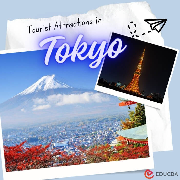 Tourist Attractions in Tokyo