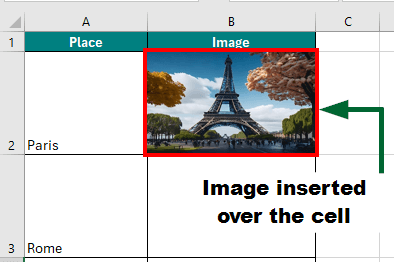 Insert Image in Excel: Method 2-Place over Cells result