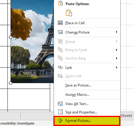 Insert Image in Excel: Method 2-Place over Cells format Image