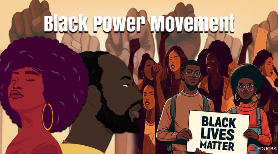 Essay on Black Power Movement