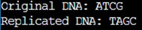 C- replicateDNA -char originalDNA