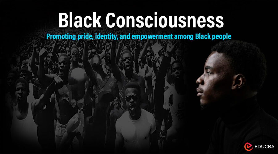 Essay on Black Consciousness